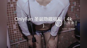 OnlyFan 圣诞隐藏福利（4k）