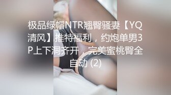 极品绿帽NTR翘臀骚妻【YQ清风】推特福利，约炮单男3P上下洞齐开，完美蜜桃臀全自动 (2)