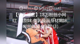 【快手泄密】18万粉丝小网红  甜甜妹 美乳极品身材嫩妹 啪啪做爱+自慰 (3)