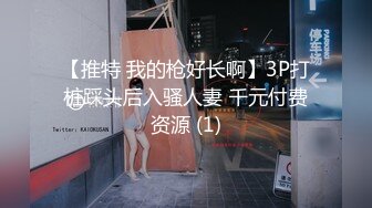 【推特 我的枪好长啊】3P打桩踩头后入骚人妻 千元付费资源 (1)