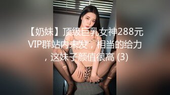 【奶妹】顶级巨乳女神288元VIP群站内未发，相当的给力，这妹子颜值很高 (3)