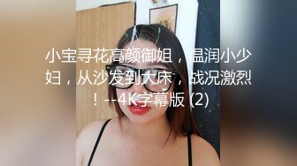 小宝寻花高颜御姐，温润小少妇，从沙发到大床，战况激烈！--4K字幕版 (2)