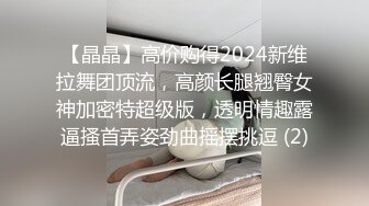 【晶晶】高价购得2024新维拉舞团顶流，高颜长腿翘臀女神加密特超级版，透明情趣露逼搔首弄姿劲曲摇摆挑逗 (2)