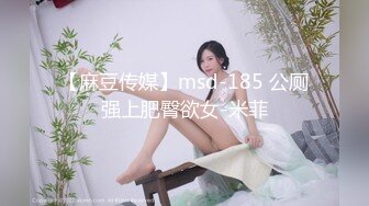 【麻豆传媒】msd-185 公厕强上肥臀欲女-米菲