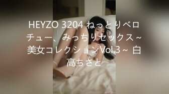 HEYZO 3204 ねっとりベロチュー、みっちりセックス～美女コレクションVol.3～ 白高ちさと