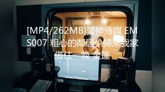 很有韵味的骚气主播【九狸 】 【25V】 (22)