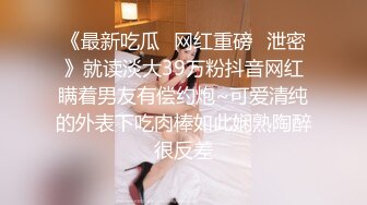 即含即插ＯＫ的绝对领域侍奉女仆