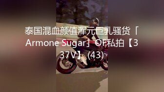 泰国混血颜值浑元巨乳骚货「Armone Sugar」OF私拍【337V】 (43)