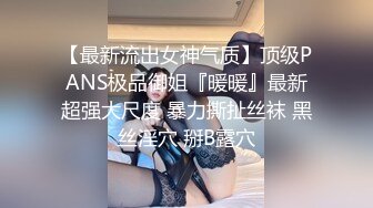 【最新流出女神气质】顶级PANS极品御姐『暖暖』最新超强大尺度 暴力撕扯丝袜 黑丝淫穴 掰B露穴