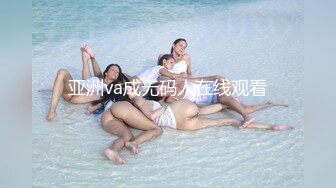 亚洲va成无码人在线观看