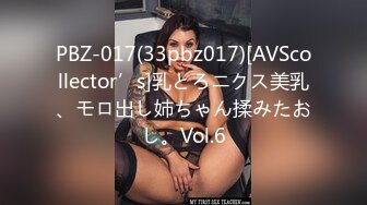 PBZ-017(33pbz017)[AVScollector’s]乳とろニクス美乳、モロ出し姉ちゃん揉みたおし。Vol.6