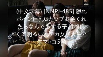 (中文字幕) [NNPJ-485] 隠れボイン巨乳Gカップお金くれたらなんでもする子 性格良くて明るい乳デカ女子大生と生マ○コ5発