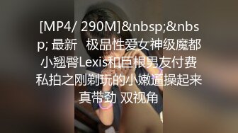 国产麻豆AV 麻豆US LAX0056 POV坦诚的荡妇 Skylar Snow