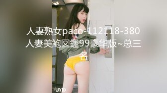 人妻熟女paco-112118-380人妻美鮑図鑑99豪华版~总三名