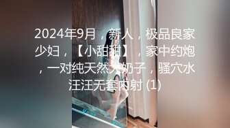 2024年9月，新人，极品良家少妇，【小甜甜】，家中约炮，一对纯天然大奶子，骚穴水汪汪无套内射 (1)