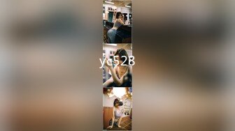 yc528