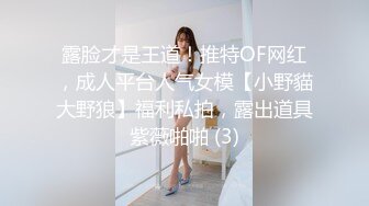 露脸才是王道！推特OF网红，成人平台人气女模【小野貓大野狼】福利私拍，露出道具紫薇啪啪 (3)