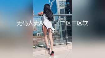 无码人妻AⅤ一区二区三区软件