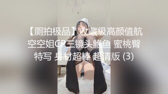 【厕拍极品】收藏级高颜值航空空姐CP三镜头鲍鱼 蜜桃臀特写 身材超棒 超清版 (3)