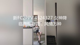 新FC2PPV 4524327 女神降临美丽窈窕，风情万种