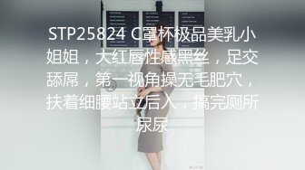 STP25824 C罩杯极品美乳小姐姐，大红唇性感黑丝，足交舔屌，第一视角操无毛肥穴，扶着细腰站立后入，搞完厕所尿尿