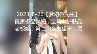 2023-3-26【梦幻谷先生】良家极品少妇，宝马女护肤品老板娘，第二炮全力猛干，黑丝高跟鞋