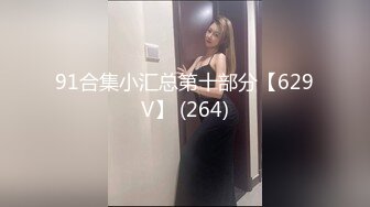 91合集小汇总第十部分【629V】 (264)