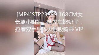 【91MS-004】女优面试 四