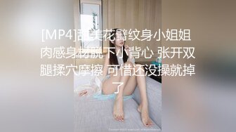 [MP4]甜美花臂纹身小姐姐 肉感身材脱下小背心 张开双腿揉穴摩擦 可惜还没操就掉了