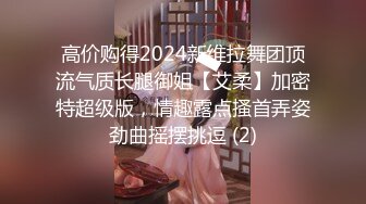 高价购得2024新维拉舞团顶流气质长腿御姐【艾柔】加密特超级版，情趣露点搔首弄姿劲曲摇摆挑逗 (2)