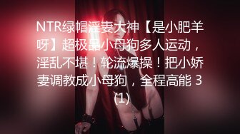 NTR绿帽淫妻大神【是小肥羊呀】超极品小母狗多人运动，淫乱不堪！轮流爆操！把小娇妻调教成小母狗，全程高能 3 (1)