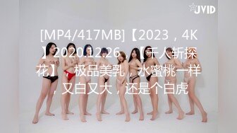 MD-0268巨乳家教内射课程-凌薇