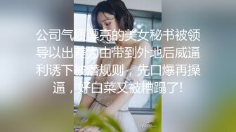 蒂蒂 辦公桌下的超豪乳女秘書