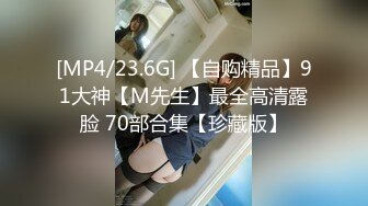 [MP4/23.6G] 【自购精品】91大神【M先生】最全高清露脸 70部合集【珍藏版】