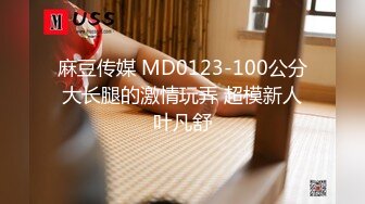 麻豆传媒 MD0123-100公分大长腿的激情玩弄 超模新人叶凡舒