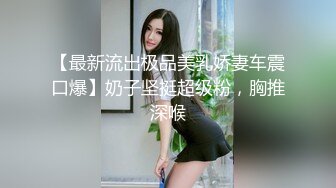 【最新流出极品美乳娇妻车震口爆】奶子坚挺超级粉，胸推深喉