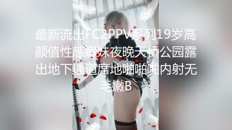 最新流出FC2PPV系列19岁高颜值性感嫩妹夜晚天桥公园露出地下通道席地啪啪啪内射无毛嫩B