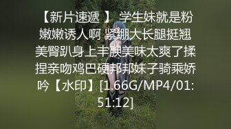 自己收集的国产淫妻福利系列合集4【188V】 (13)