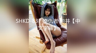 SHKD-837 復仇者 向井【中文字幕】