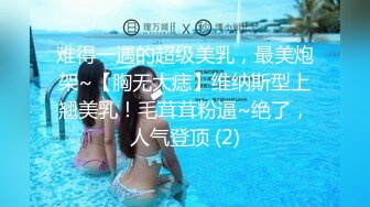 【小阿姨要喷水喷奶啦】韵味少妇刚生完孩子，性欲大，老公又不在身边，买根假鸡巴厕所狂插骚穴，高潮得到满足！