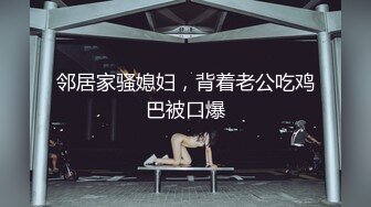 《云盘重磅?泄密》极品容颜高气质女神小姐姐（姗姗）与富二代露脸调教啪啪自拍极度反差成为小母狗1080P原版