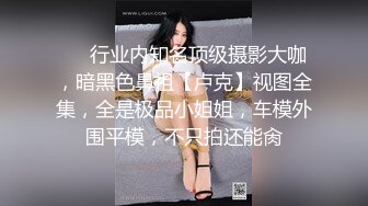 ❤️行业内知名顶级摄影大咖，暗黑色鼻祖【卢克】视图全集，全是极品小姐姐，车模外围平模，不只拍还能肏