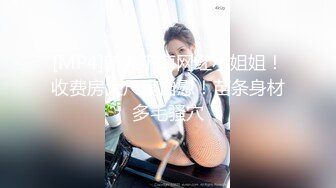 PMFC-001 美琳 二舅介绍的美乳御姐演员 蜜桃影像传媒