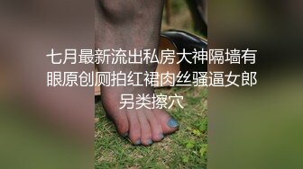 七月最新流出私房大神隔墙有眼原创厕拍红裙肉丝骚逼女郎另类擦穴